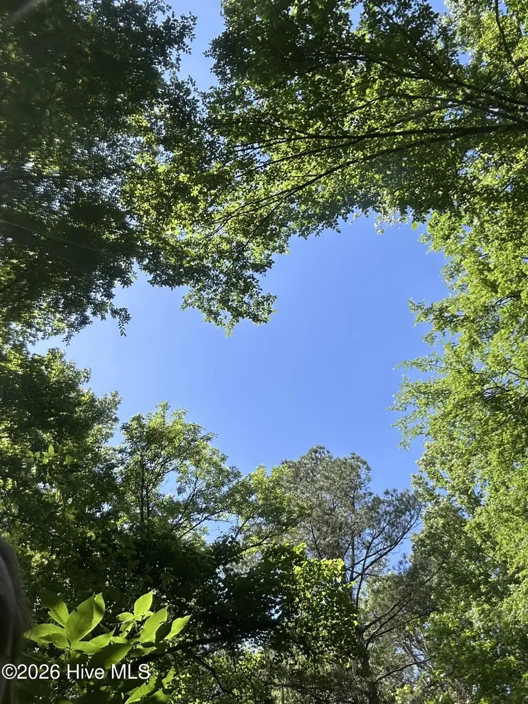 Lot 4 Saggus Road Washington GA 30673