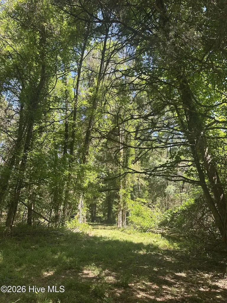 Lot 4 Saggus Road Washington GA 30673