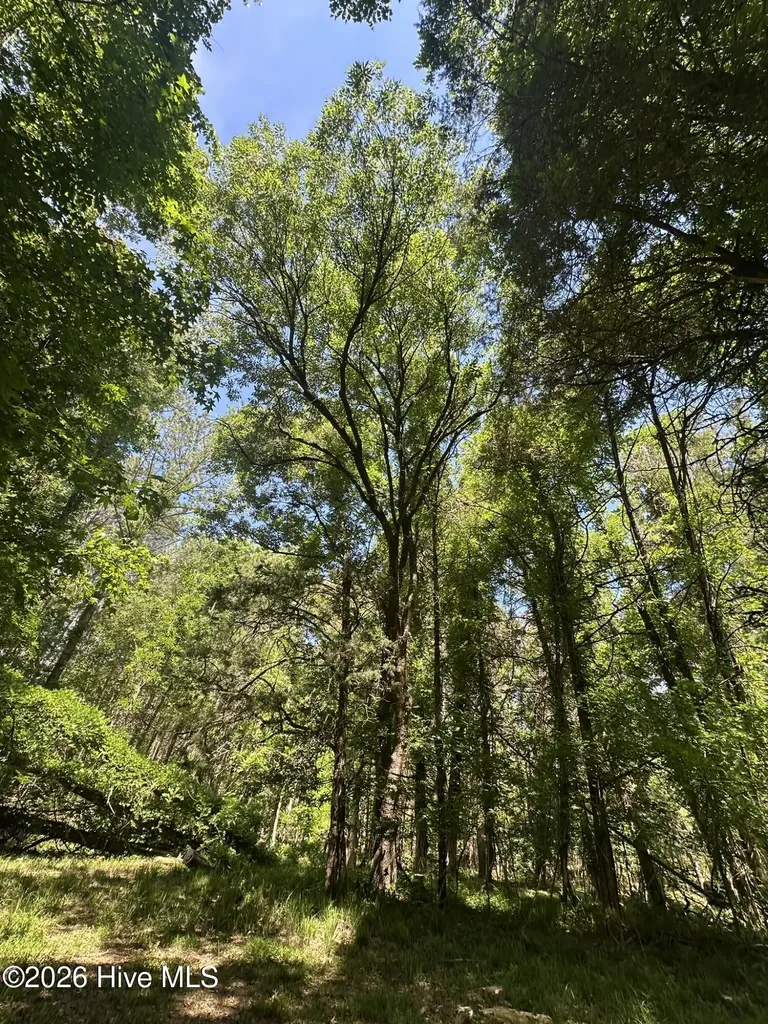 Lot 4 Saggus Road Washington GA 30673