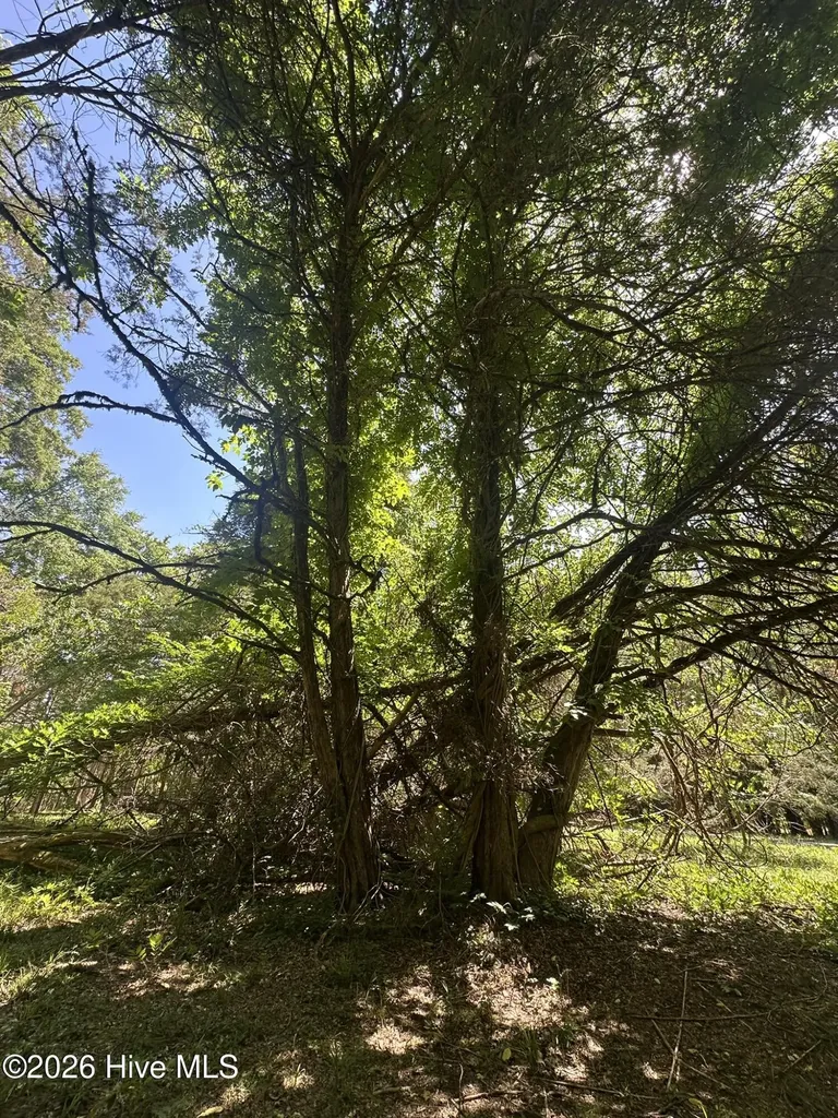Lot 4 Saggus Road Washington GA 30673