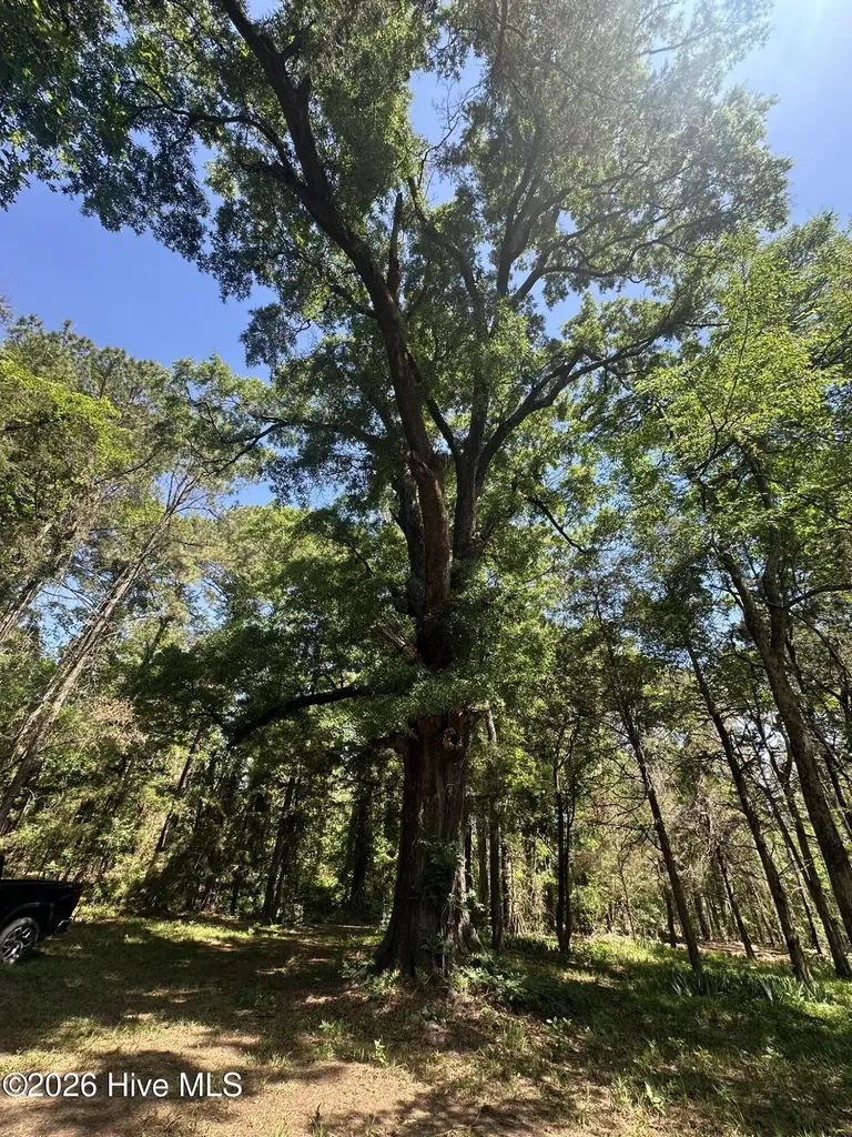 Lot 4 Saggus Road Washington GA 30673