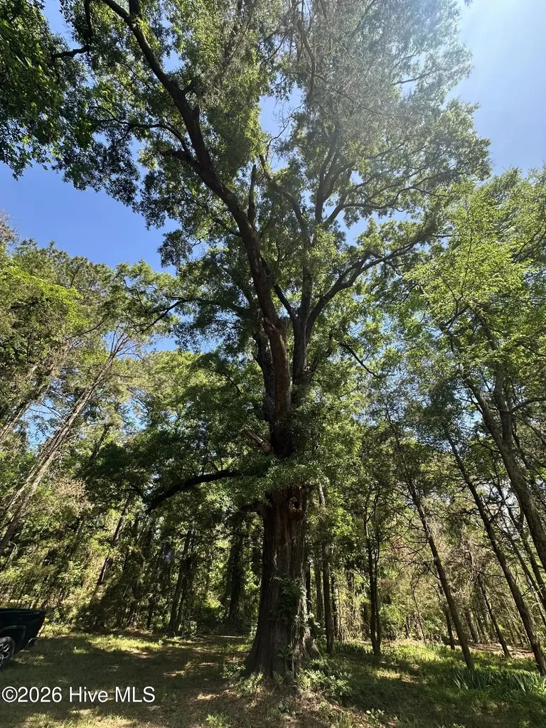Lot 4 Saggus Road Washington GA 30673