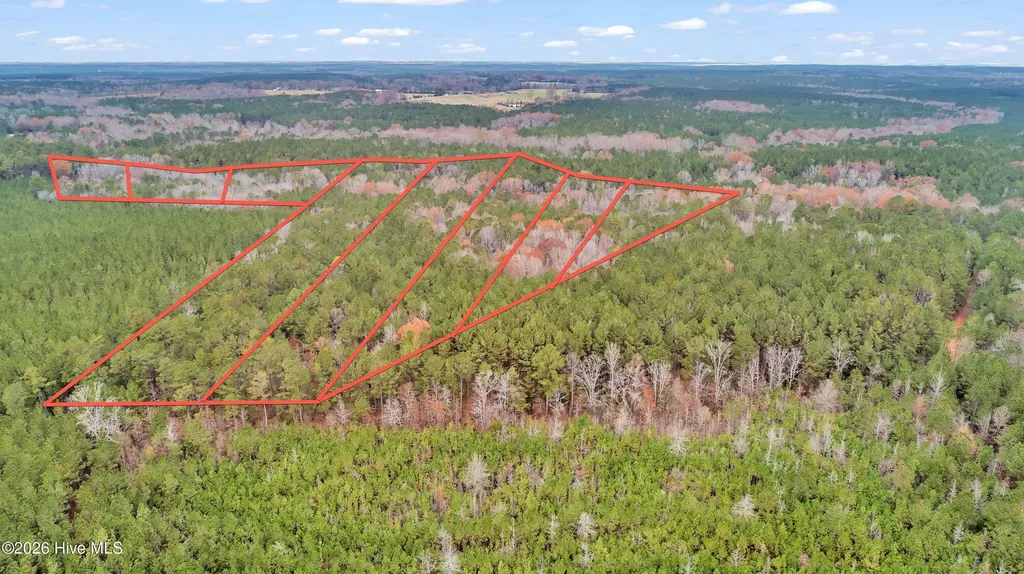 Lot 4 Saggus Road Washington GA 30673