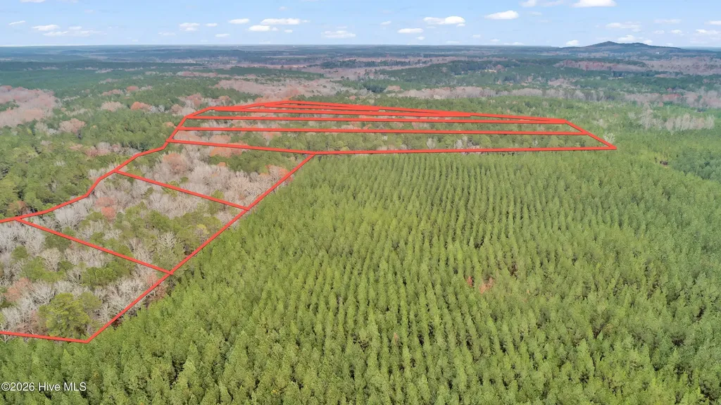 Lot 4 Saggus Road Washington GA 30673