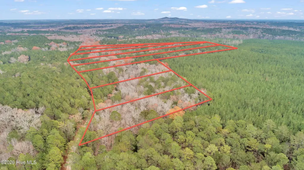 Lot 4 Saggus Road Washington GA 30673