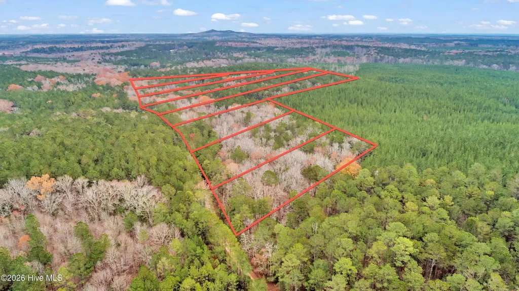 Lot 4 Saggus Road Washington GA 30673