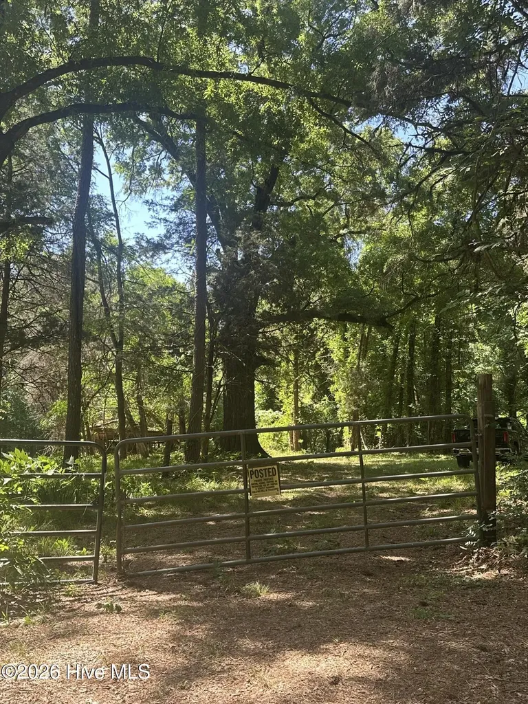 Lot 4 Saggus Road Washington GA 30673