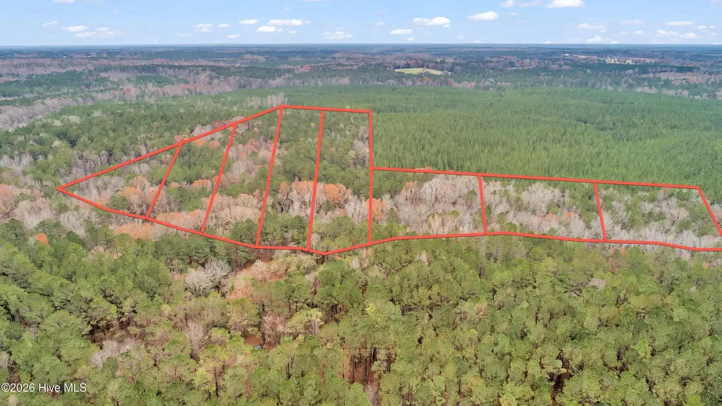 Lot 4 Saggus Road Washington GA 30673