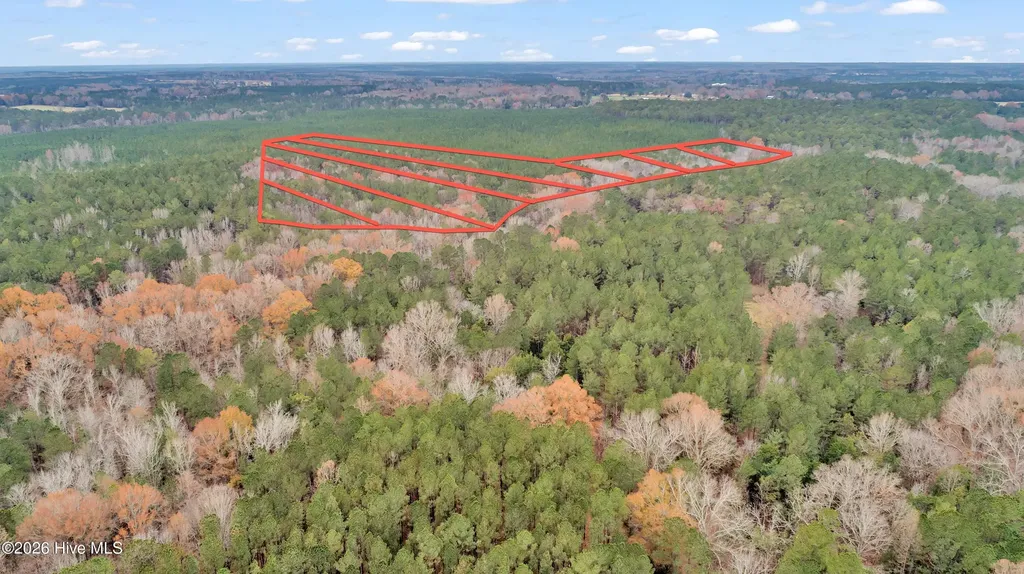 Lot 4 Saggus Road Washington GA 30673