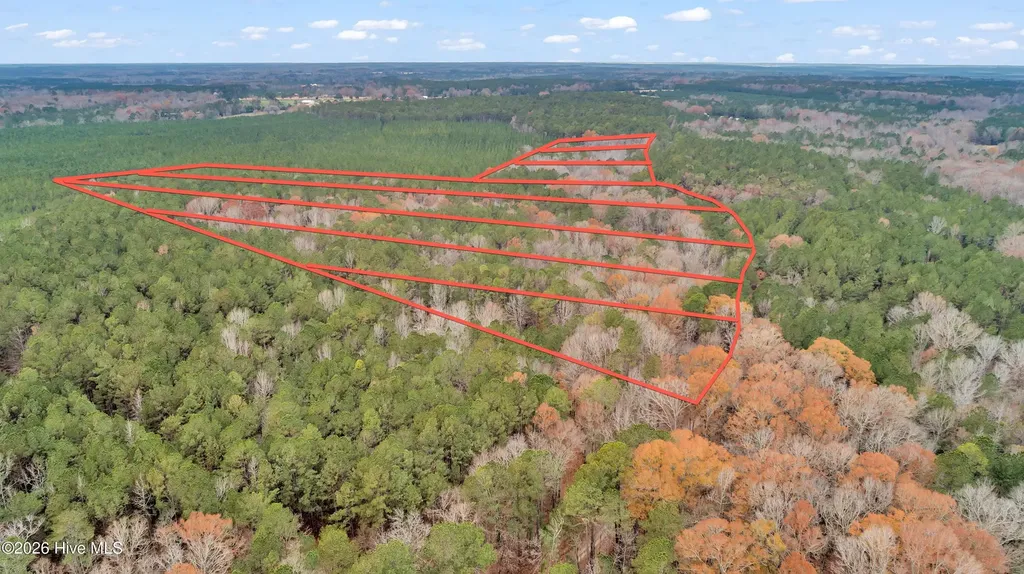 Lot 4 Saggus Road Washington GA 30673