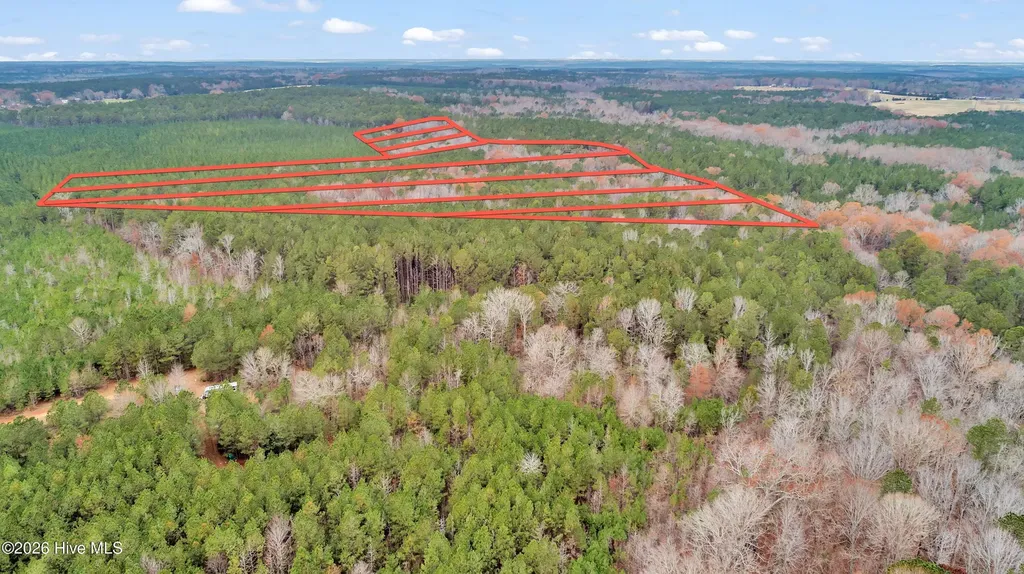 Lot 4 Saggus Road Washington GA 30673