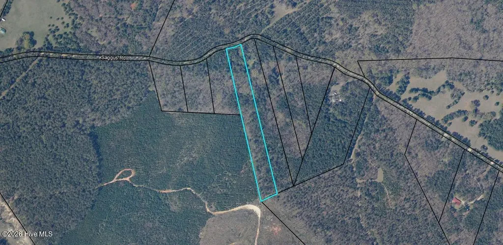 Lot 4 Saggus Road Washington GA 30673