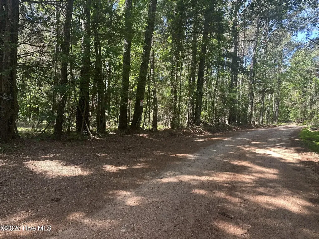 Lot 4 Saggus Road Washington GA 30673