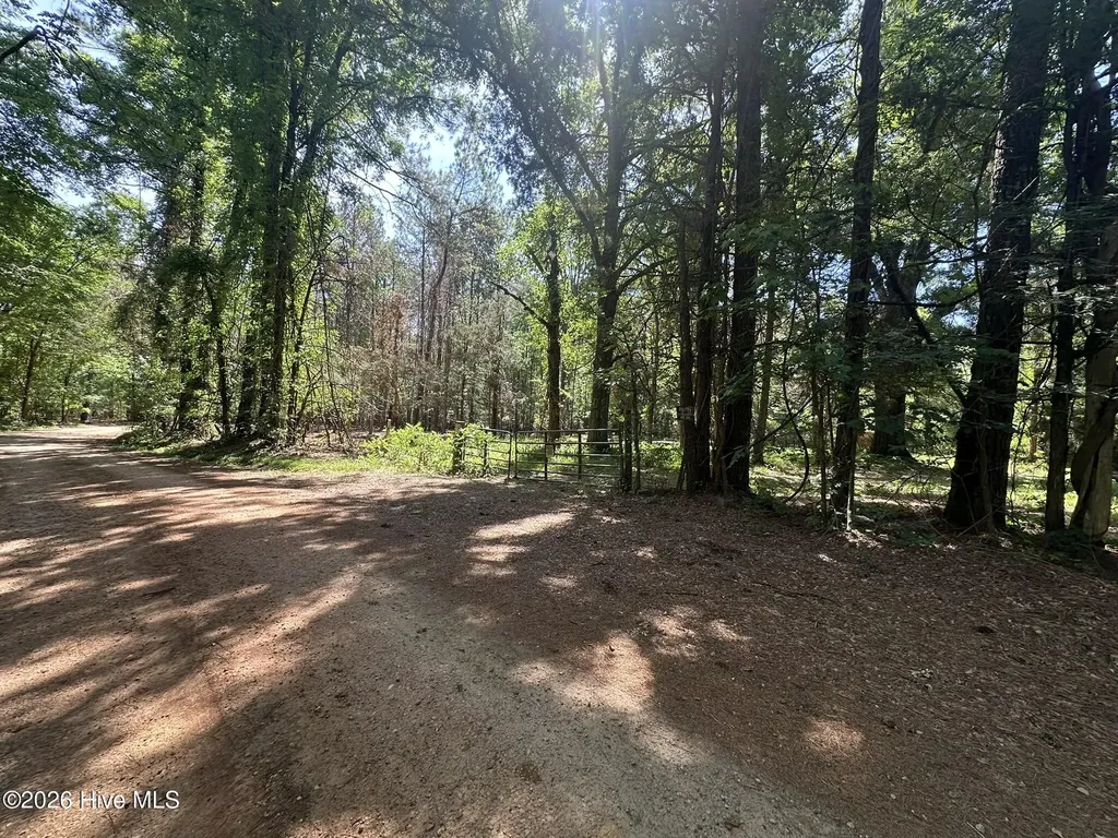 Lot 4 Saggus Road Washington GA 30673