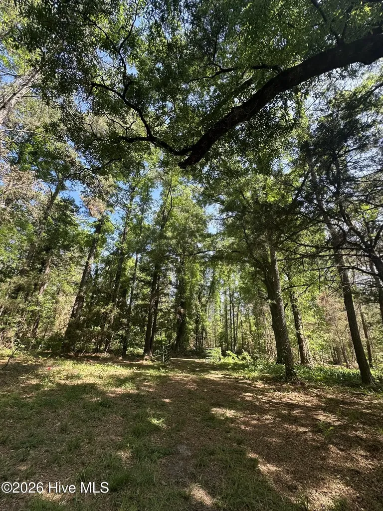 Lot 4 Saggus Road Washington GA 30673
