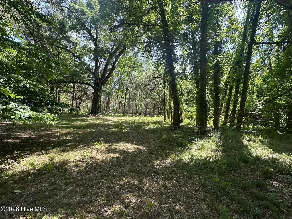 Lot 4 Saggus Road Washington GA 30673