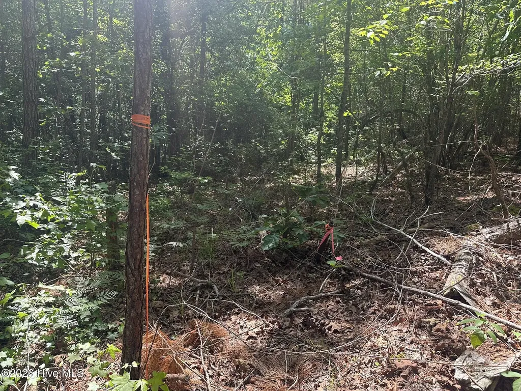 Lot 4 Saggus Road Washington GA 30673