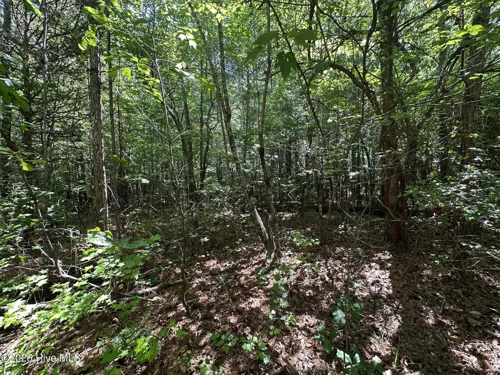 Lot 4 Saggus Road Washington GA 30673