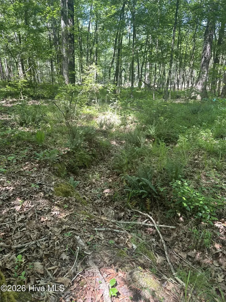 Lot 4 Saggus Road Washington GA 30673