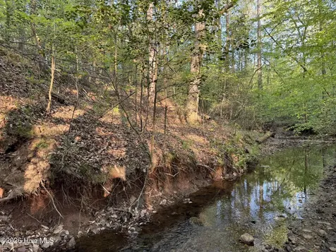 0 Cartledge Creek Road Rockingham NC 28379