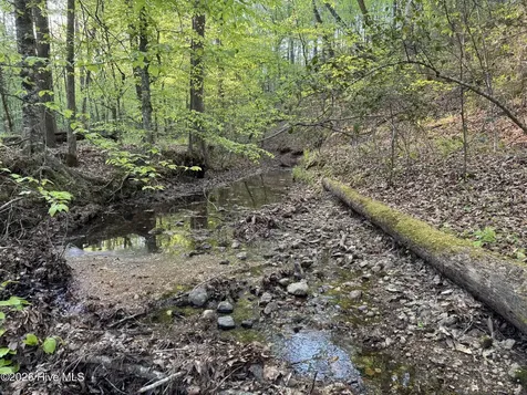 0 Cartledge Creek Road Rockingham NC 28379