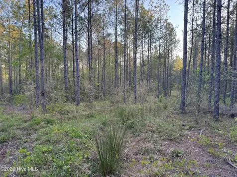 0 Cartledge Creek Road Rockingham NC 28379