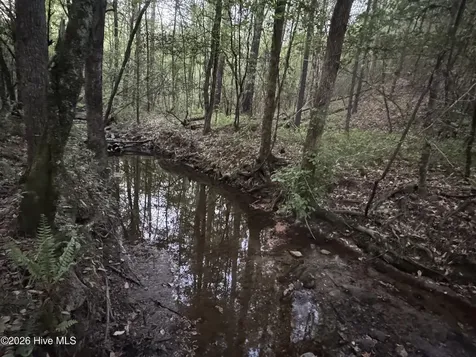 0 Cartledge Creek Road Rockingham NC 28379