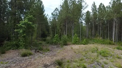 0 Cartledge Creek Road Rockingham NC 28379