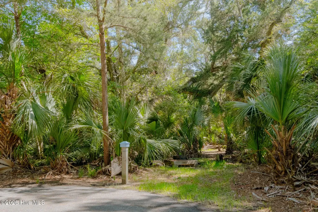 6 Gray Fox Court Bald Head Island NC 28461