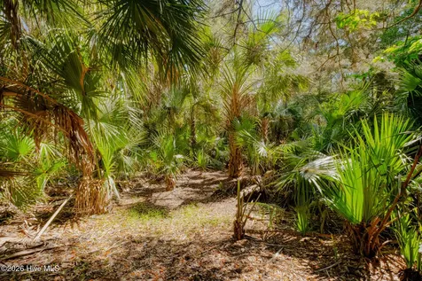 6 Gray Fox Court Bald Head Island NC 28461