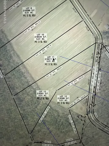 Lot 11 Beasley Road Roper NC 27970