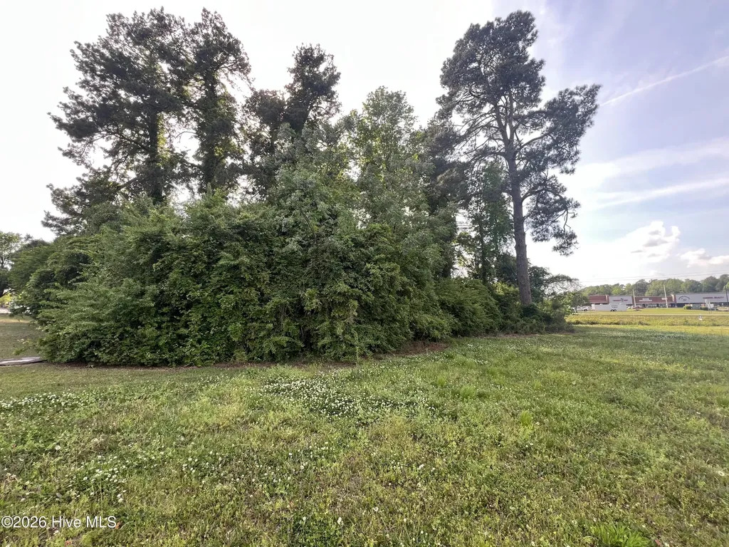 64142 S Near 1718 S Madison Street Whiteville NC 28472