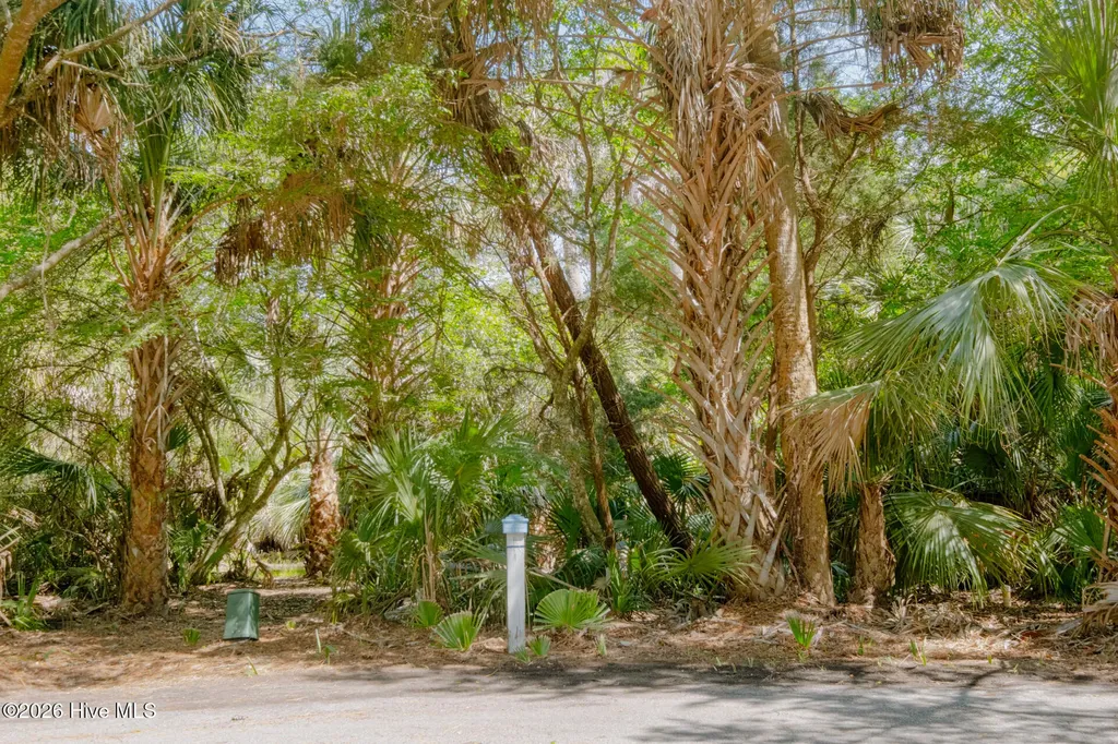 4 Gray Fox Court Bald Head Island NC 28461