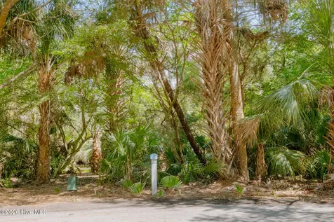 4 Gray Fox Court Bald Head Island NC 28461