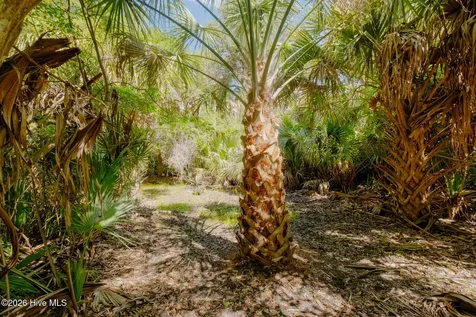 4 Gray Fox Court Bald Head Island NC 28461