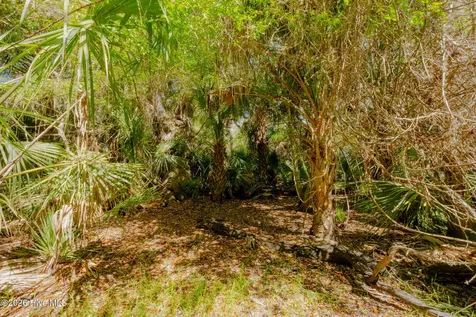 4 Gray Fox Court Bald Head Island NC 28461