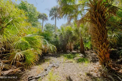 4 Gray Fox Court Bald Head Island NC 28461