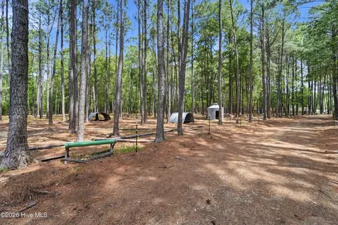 295 Mayberry Lane Richlands NC 28574