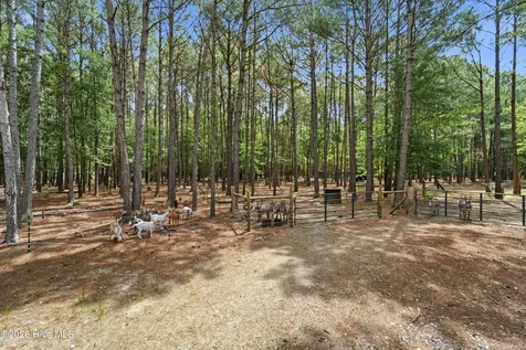 295 Mayberry Lane Richlands NC 28574
