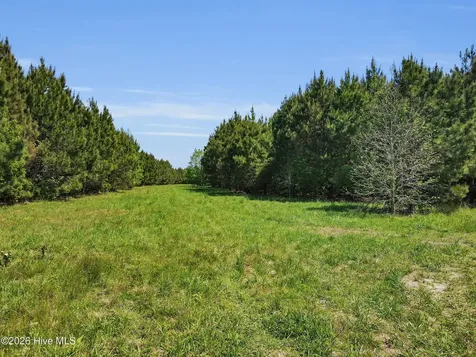 N/a Burton Farm Road Arapahoe NC 28510