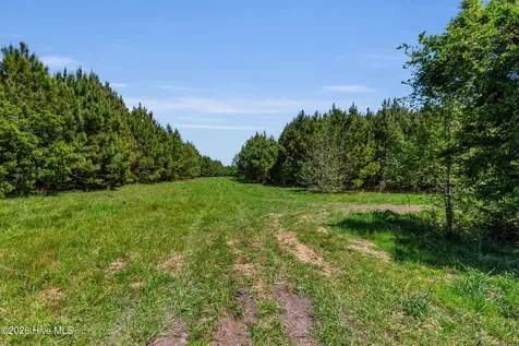 N/a Burton Farm Road Arapahoe NC 28510