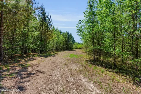 N/a Burton Farm Road Arapahoe NC 28510