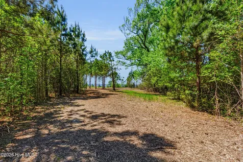 N/a Burton Farm Road Arapahoe NC 28510