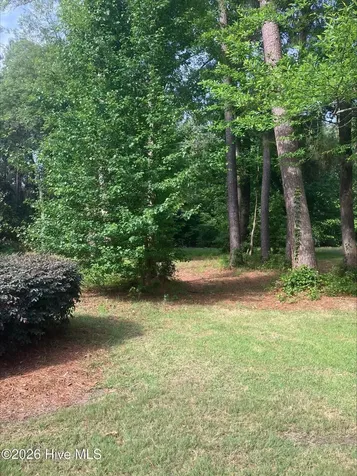 155 Southern Magnolia Lane Wallace NC 28466