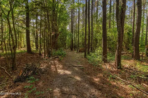 3115 Mill Creek Road Newport NC 28570