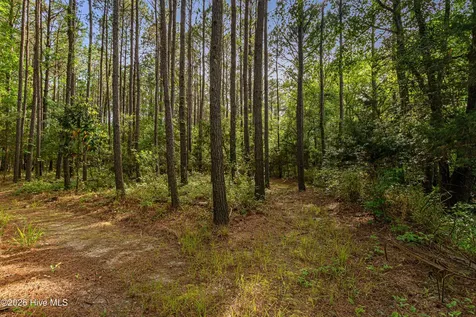 3115 Mill Creek Road Newport NC 28570