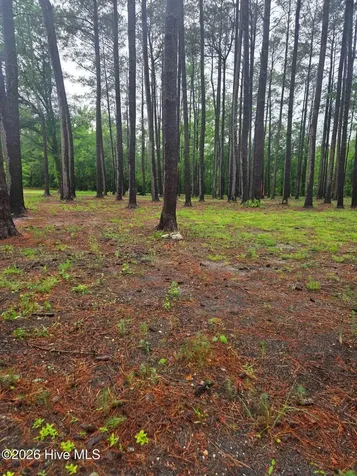 Lot 48 Juniper Lane Currie NC 28435