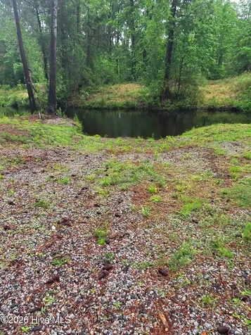 Lot 48 Juniper Lane Currie NC 28435