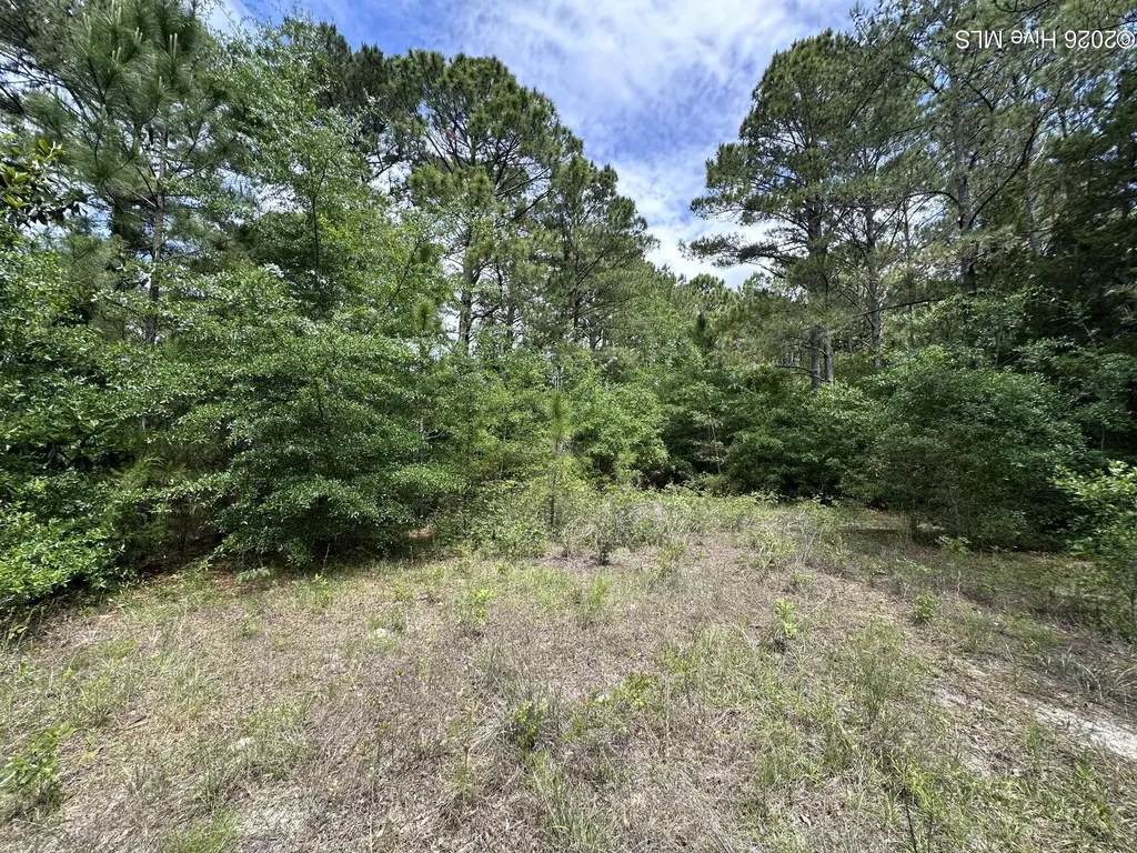 4781 Longview Drive SE Southport NC 28461