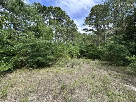 4781 Longview Drive SE Southport NC 28461